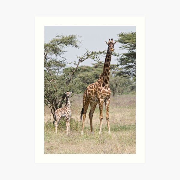 Mother and child Art Print