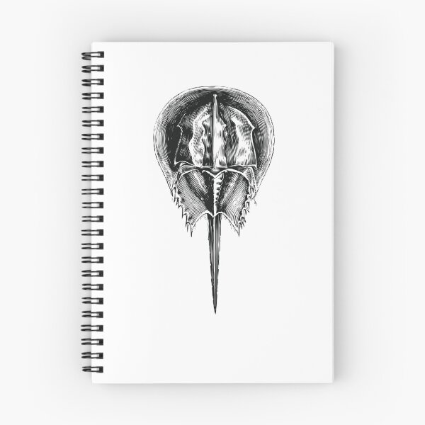 Item preview, Horseshoe crab designed and sold by zaher97.