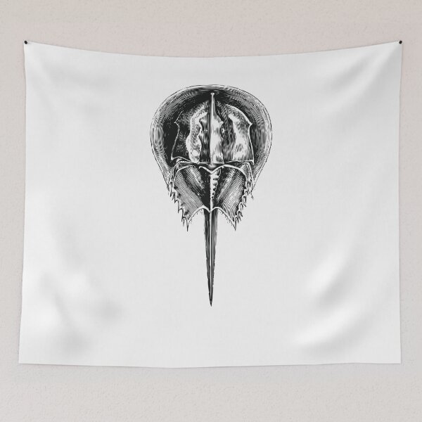 Item preview, Horseshoe crab designed and sold by zaher97.
