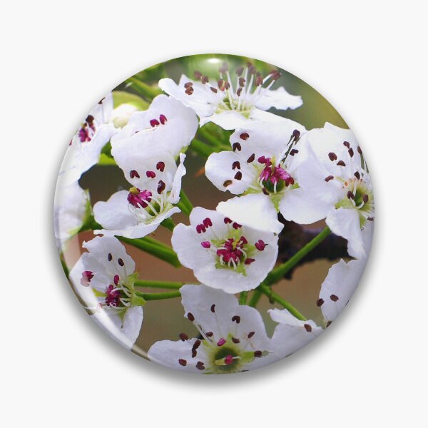 Item preview, Bartlett Pear Blossoms designed and sold by Susan Maxwell Schmidt.