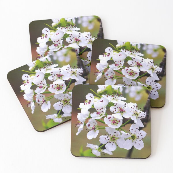 Item preview, Bartlett Pear Blossoms designed and sold by Susan Maxwell Schmidt.