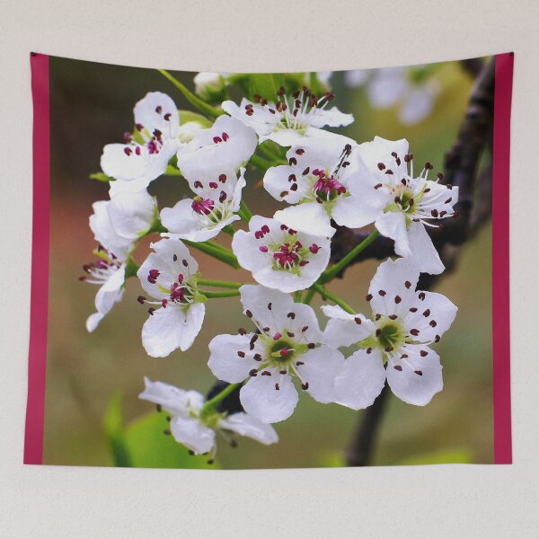 Item preview, Bartlett Pear Blossoms designed and sold by Susan Maxwell Schmidt.
