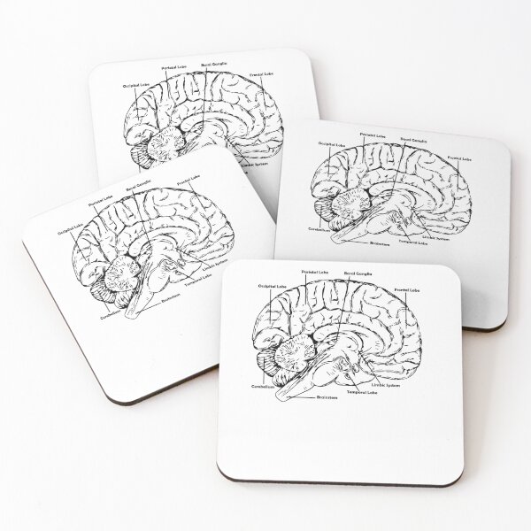 Item preview, anatomy brain designed and sold by zaher97.