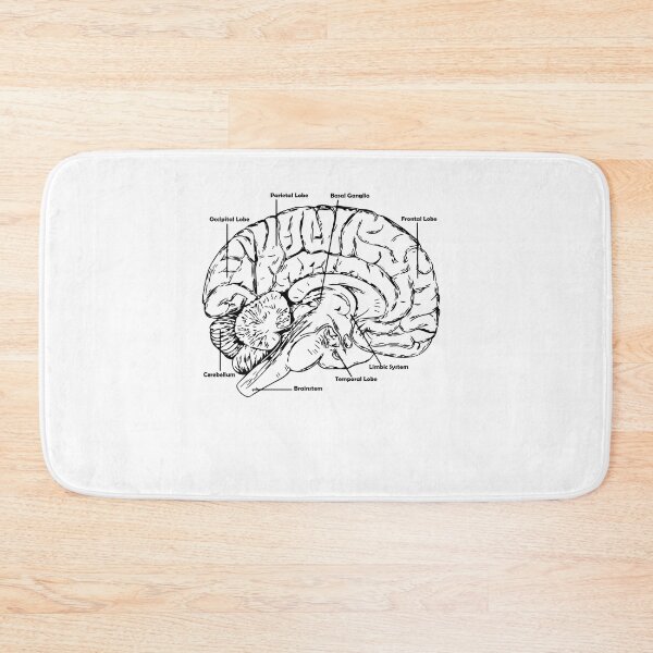Item preview, anatomy brain designed and sold by zaher97.