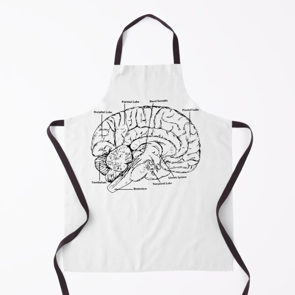 Item preview, anatomy brain designed and sold by zaher97.