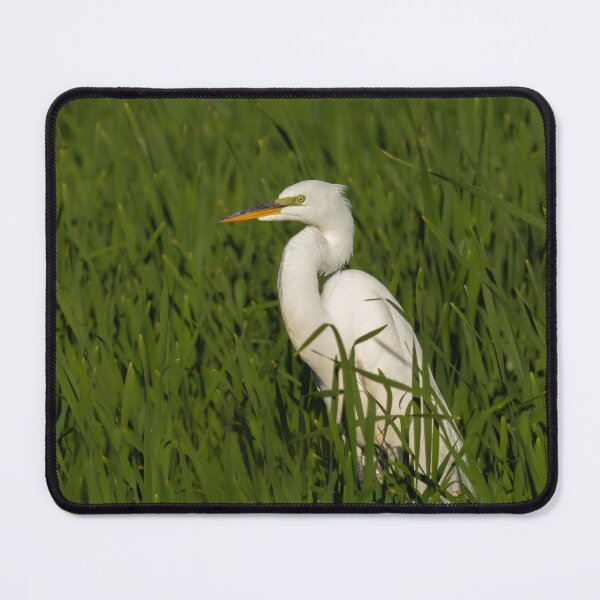 Item preview, Great Egret 2014-19 designed and sold by Thomasyoung.