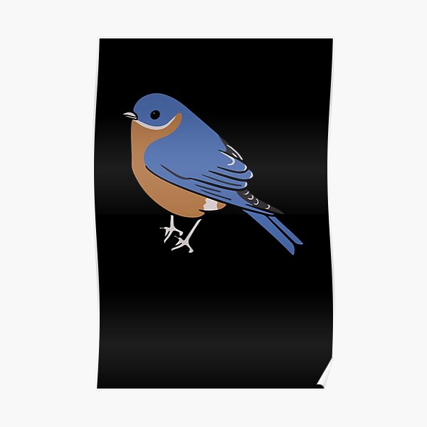 HD wallpaper: bluebirds, babies, nest, rainbow, feathers, endangered, cute