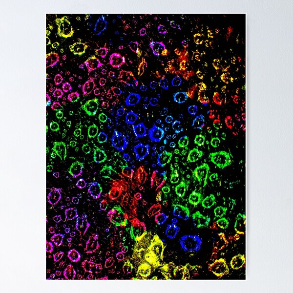 Item preview, Technocolor Water Dropplets in a Spiderweb - Portrait designed and sold by yusaku.