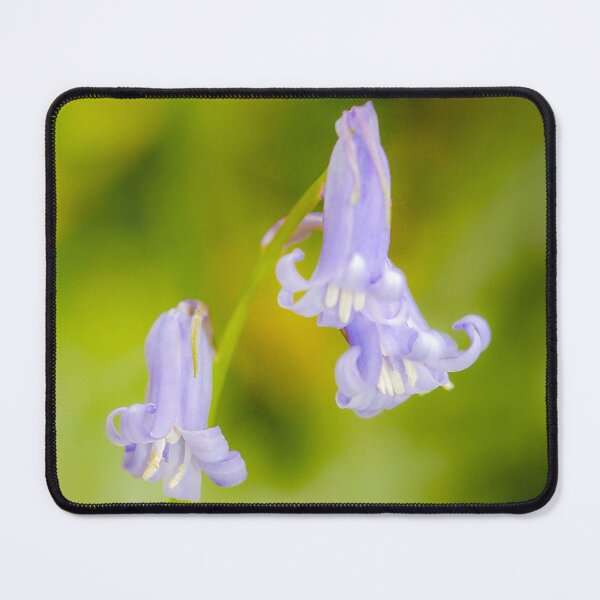 Item preview, Four Bluebells designed and sold by Simon Baylis.