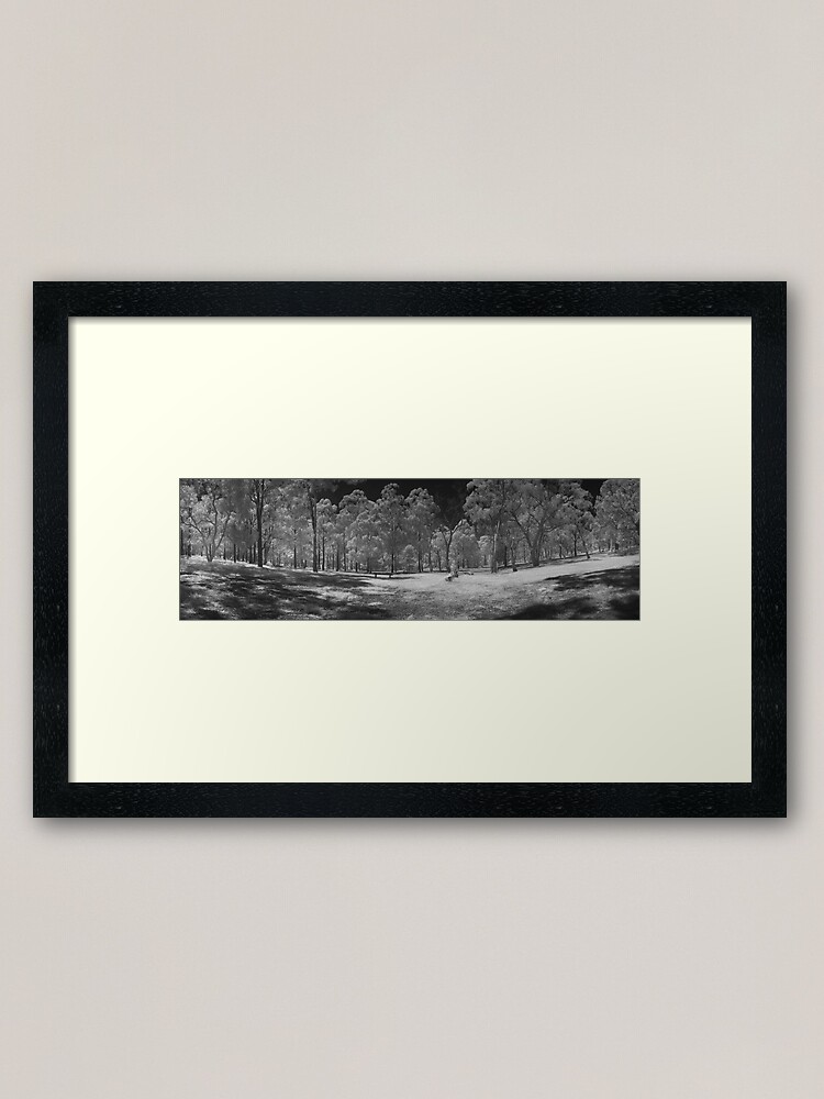 Alternate view of Wattle Park in infrared Framed Art Print