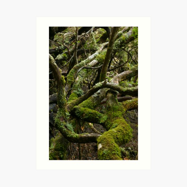 Forest jumble Art Print