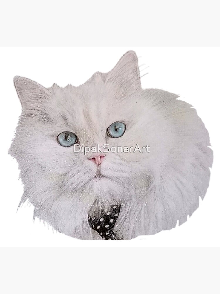 "Drawing of Dr. Coco from kittisaurus" Poster by DipakSonarArt Redbubble