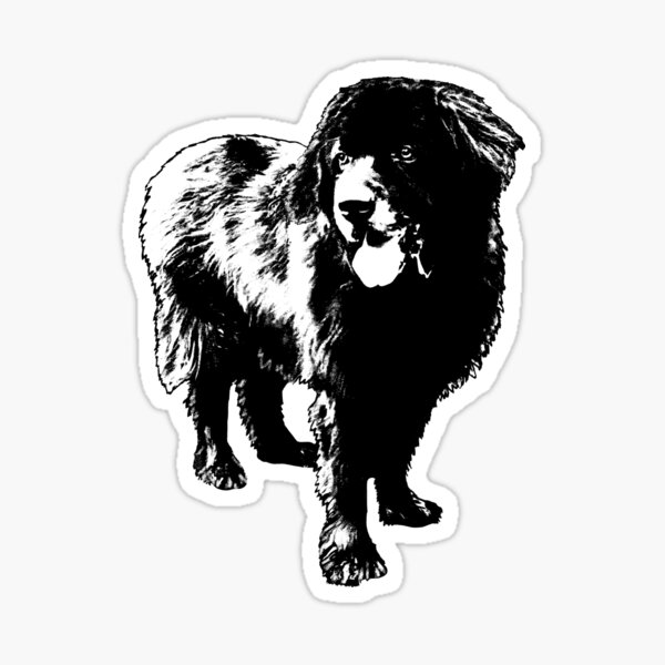 Item preview, Smiling Newfoundland Dog designed and sold by Christine Mullis.