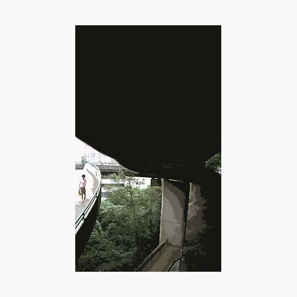 undebridge Photographic Print