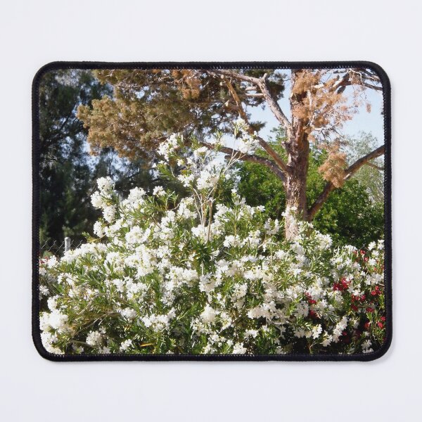 Item preview, White oleanders and pine trees designed and sold by Shulie1.