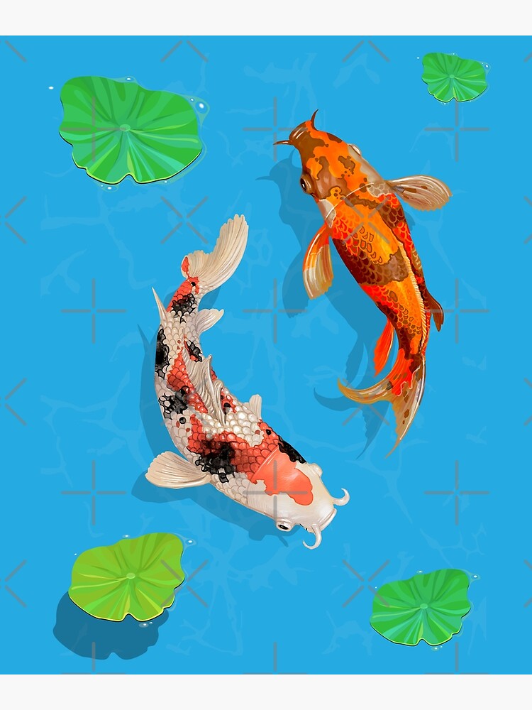 Japanese Koi Fish Pond Poster for Sale by TeeARTHY