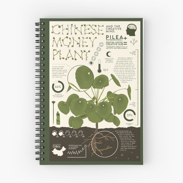 Item preview, Chinese Money Plant designed and sold by BeaRoll.