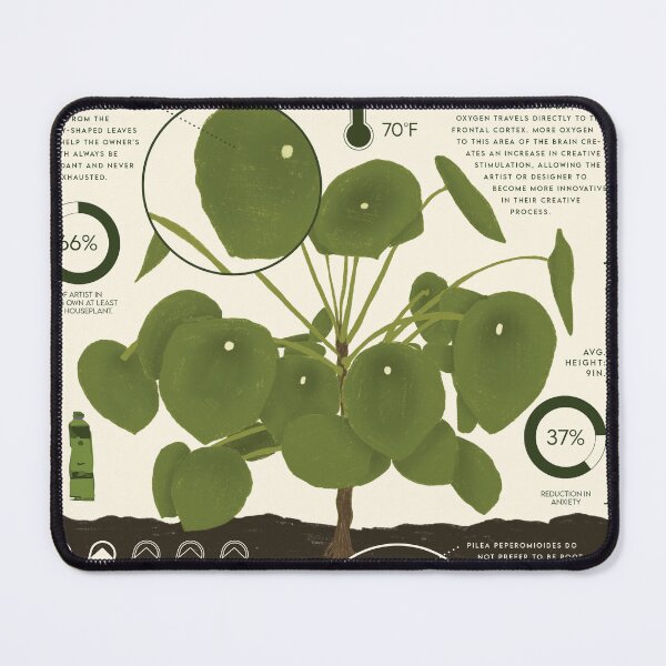 Item preview, Chinese Money Plant designed and sold by BeaRoll.