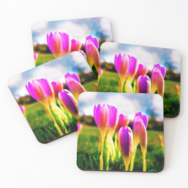 Item preview, Beautiful change * Spring messengers crocuses - Photo design - Let's have Spring - Change can be beautyful designed and sold by kikidu21.