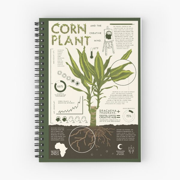 Item preview, Corn Plant  designed and sold by BeaRoll.