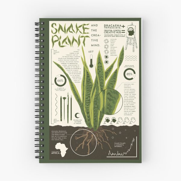 Item preview, Snake Plant  designed and sold by BeaRoll.