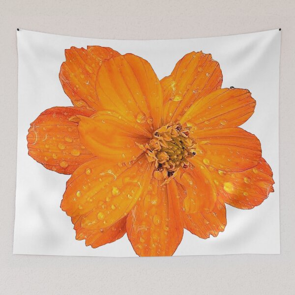 Item preview, Vibrant Orange Sulfur Cosmos designed and sold by DesignMore21.