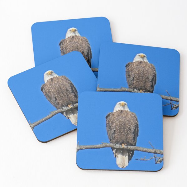 Item preview, Bald Eagle designed and sold by Peggy Feigenbaum.