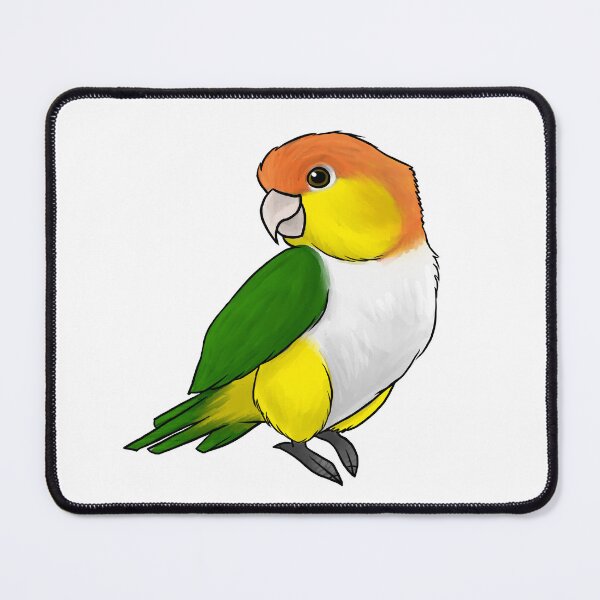 Item preview, Caique Black-Legged Parrot designed and sold by Jennifer Stolzer.