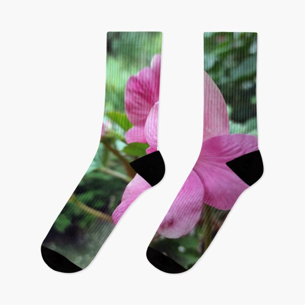 Item preview, Begonia in pink designed and sold by Gourmetkater.