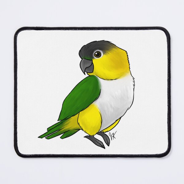 Item preview, Caique Black-Headed Parrot designed and sold by Jennifer Stolzer.