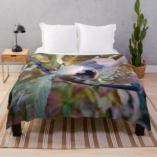 Item preview, medlar designed and sold by Gourmetkater.