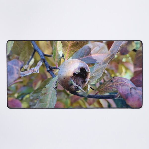 Item preview, medlar designed and sold by Gourmetkater.