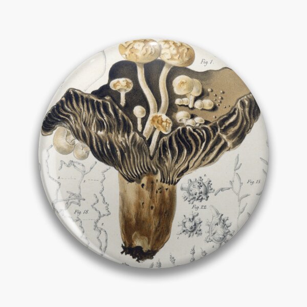 Item preview, Brefeld Fungi designed and sold by Lloyd Library & Museum.