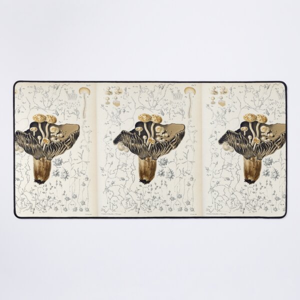 Item preview, Brefeld Fungi designed and sold by Lloyd Library & Museum.