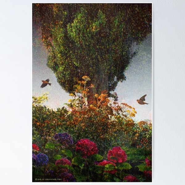 Item preview, lombardy cypress in tuscany designed and sold by R Christopher Vest.