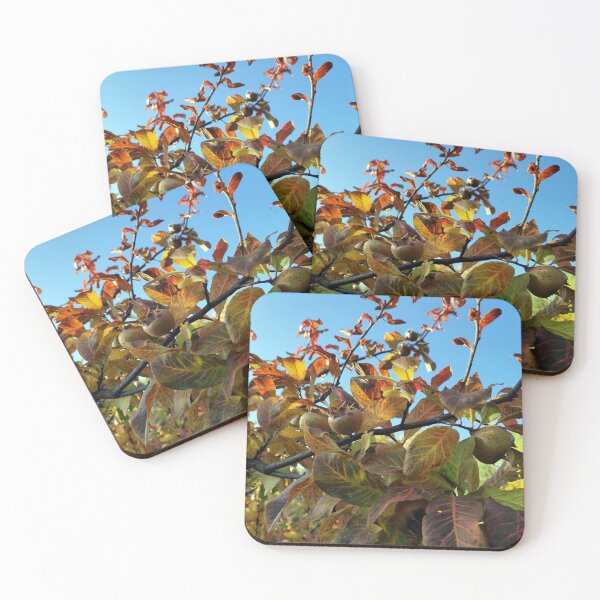 Item preview, Medlar fruits on the tree designed and sold by Gourmetkater.