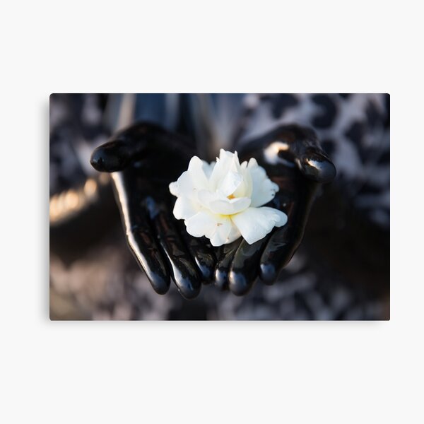 Project L: Shiny and a flower Canvas Print