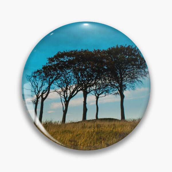 Item preview, Seven Sisters Tall Trees Photograph in colour designed and sold by RedartDesign.