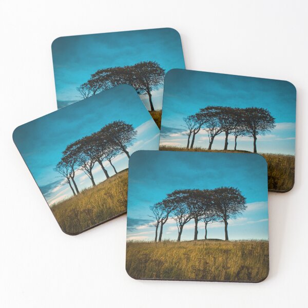 Item preview, Seven Sisters Tall Trees Photograph in colour designed and sold by RedartDesign.