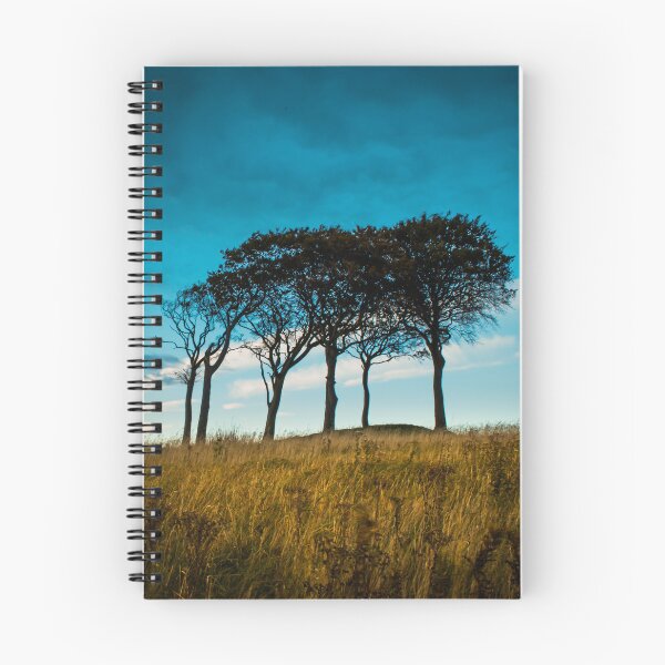 Item preview, Seven Sisters Tall Trees Photograph in colour designed and sold by RedartDesign.