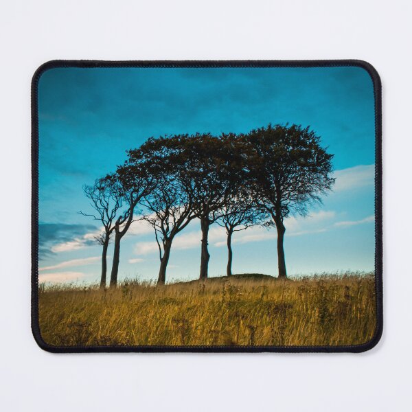 Item preview, Seven Sisters Tall Trees Photograph in colour designed and sold by RedartDesign.