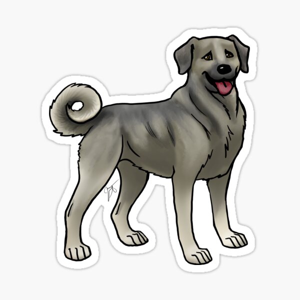 Anatolian Shepherd Gray Fawn Sticker