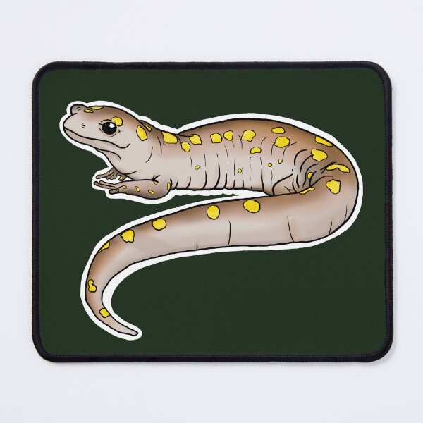 Item preview, Silly Sally Salamander  designed and sold by ThatmamaMegs.