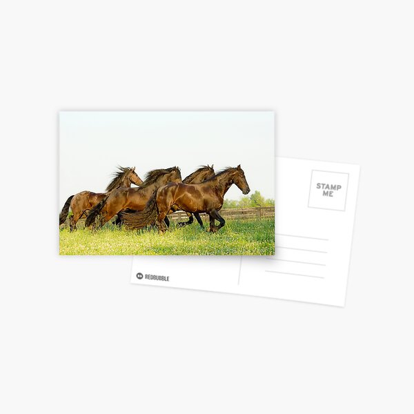 Item preview, Running Friesian Horses designed and sold by Dency Kane.