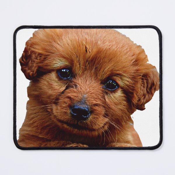 Item preview, Cutest Puppy designed and sold by kerentamir.