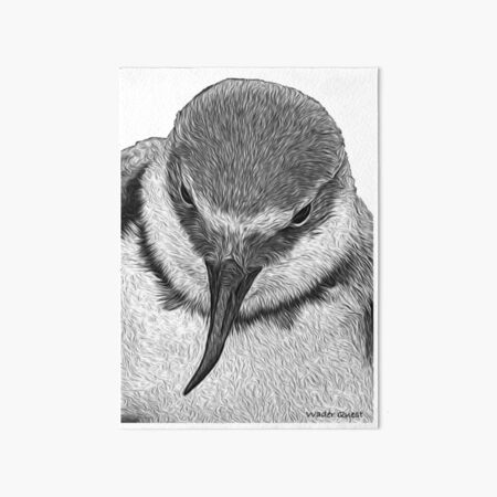 Item preview, Wrybill designed and sold by WaderQuest.