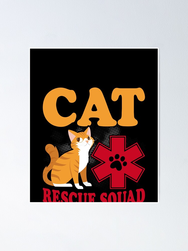 Cat Rescue Squad Animal Rescue Cat Rescue Animals
