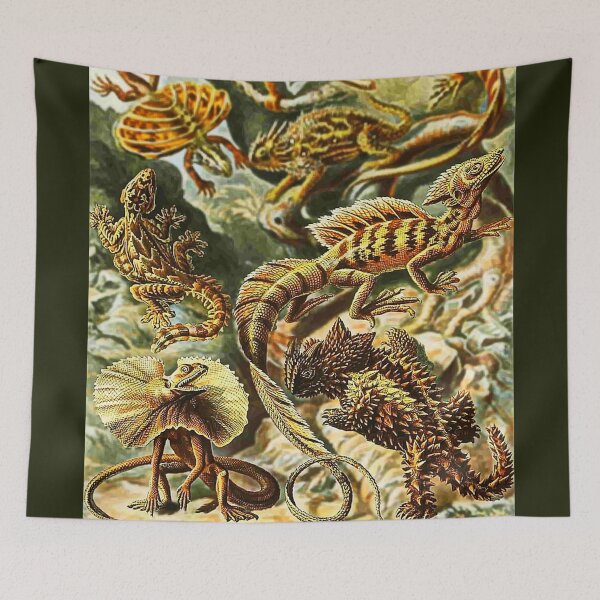 Item preview, Haeckel's Lizards in 3-D designed and sold by Susan Maxwell Schmidt.