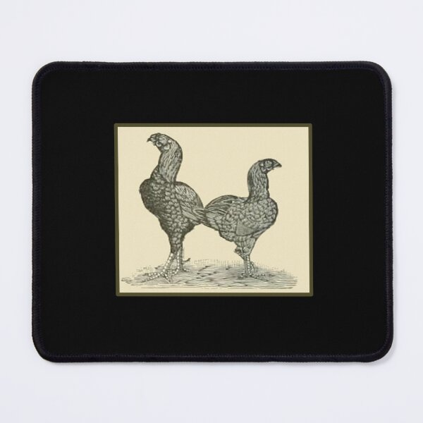 Item preview, Vintage Malay Chickens - 1800's Print designed and sold by MountMercantile.