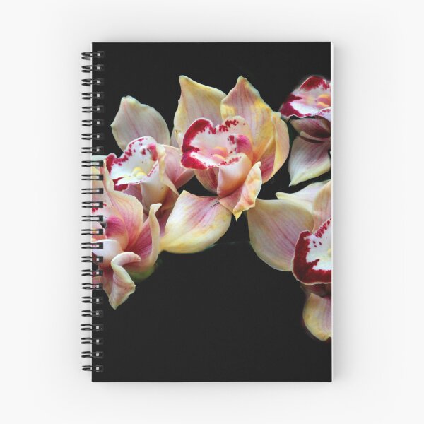 Item preview, Cymbidium Delight designed and sold by Jessica Jenney.